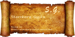 Sternberg Gyula névjegykártya